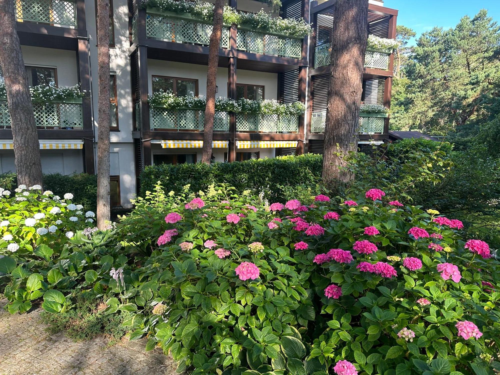 Apartament Bryza - Szczesliwa Dziewiatka ユラタ エクステリア 写真